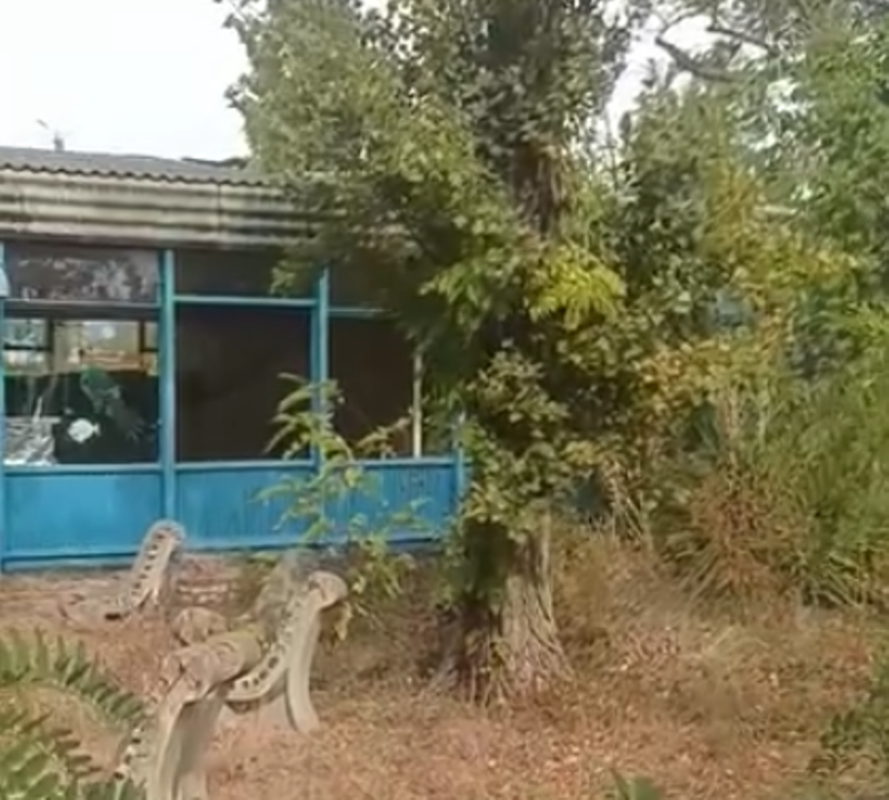 Півтора мільйона на базу та оздоровчий заклад, що не працюють: мерія Аккермана планує консервацію «Мрії» та «Чорноморських зорь»