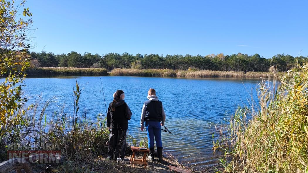 Тихий вайб Вилківського лісу у грибний сезон - фоторепортаж