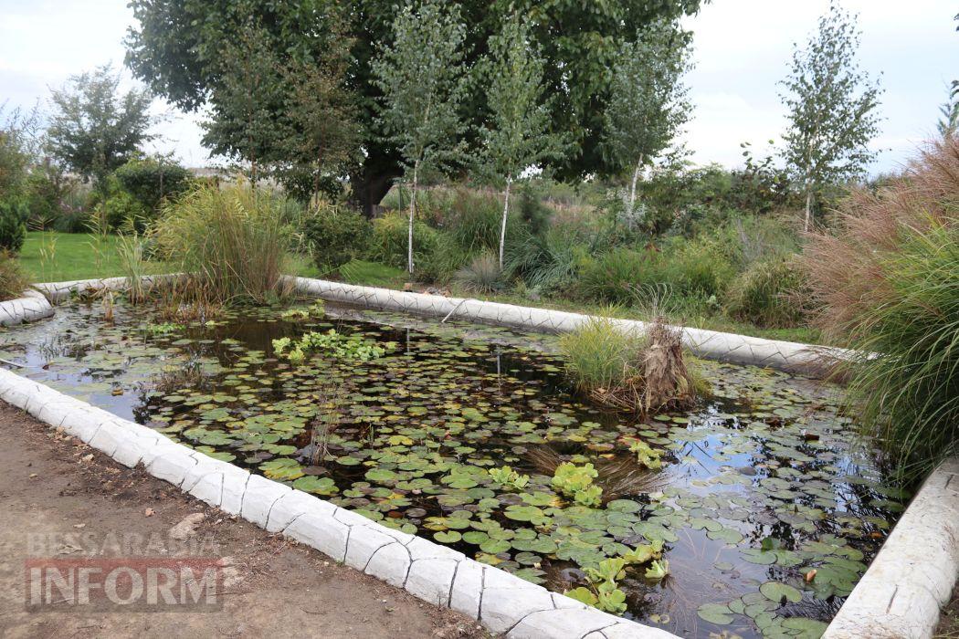 На Ізмаїльщині блогерка з технічною освітою вирощує справжній Едемський сад