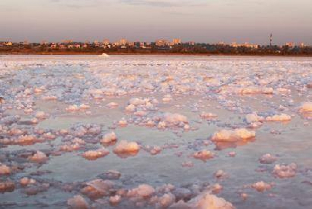 Як врятувати від зникнення Куяльницький лиман на Одещині