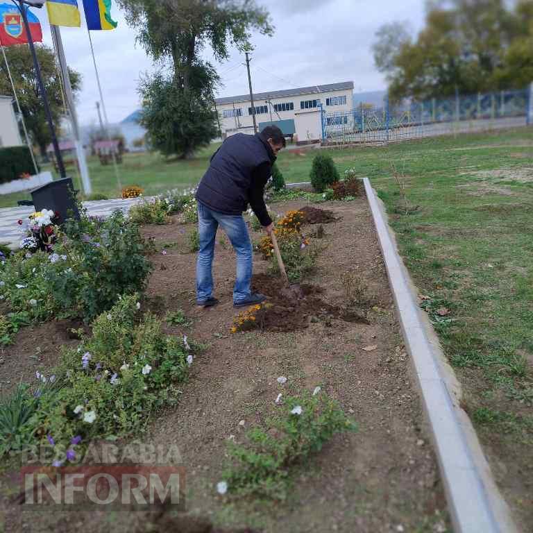Родина Героя Дениса Проданова висадила троянди пам’яті в селі Залізничному Болградської громади