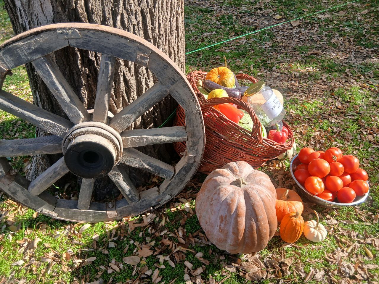 У Рені відбувся міжнародний фестиваль-ярмарок культур «Єдність в різноманітті»