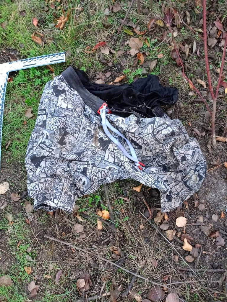 У Болградському районі у полі виявили скелетоване тіло невідомого чоловіка