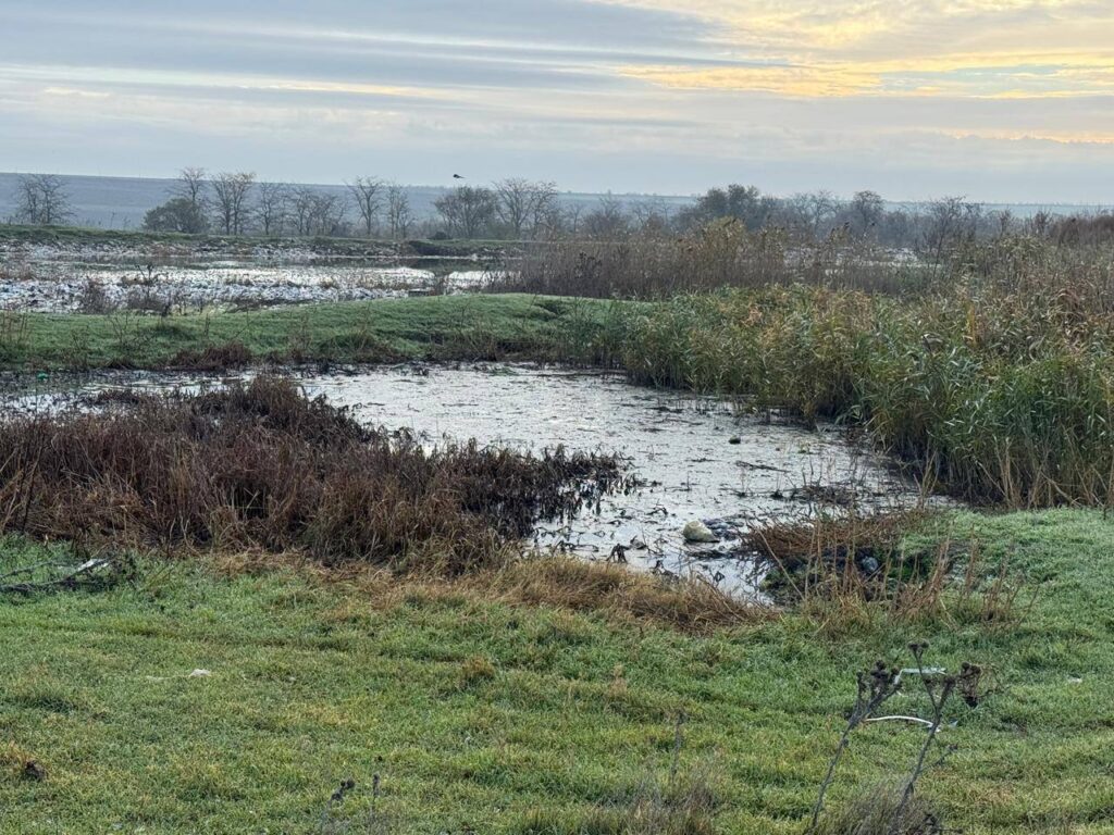 У Болграді повністю відсутні очисні споруди, куди мали б відводитися каналізаційні води, - екологи