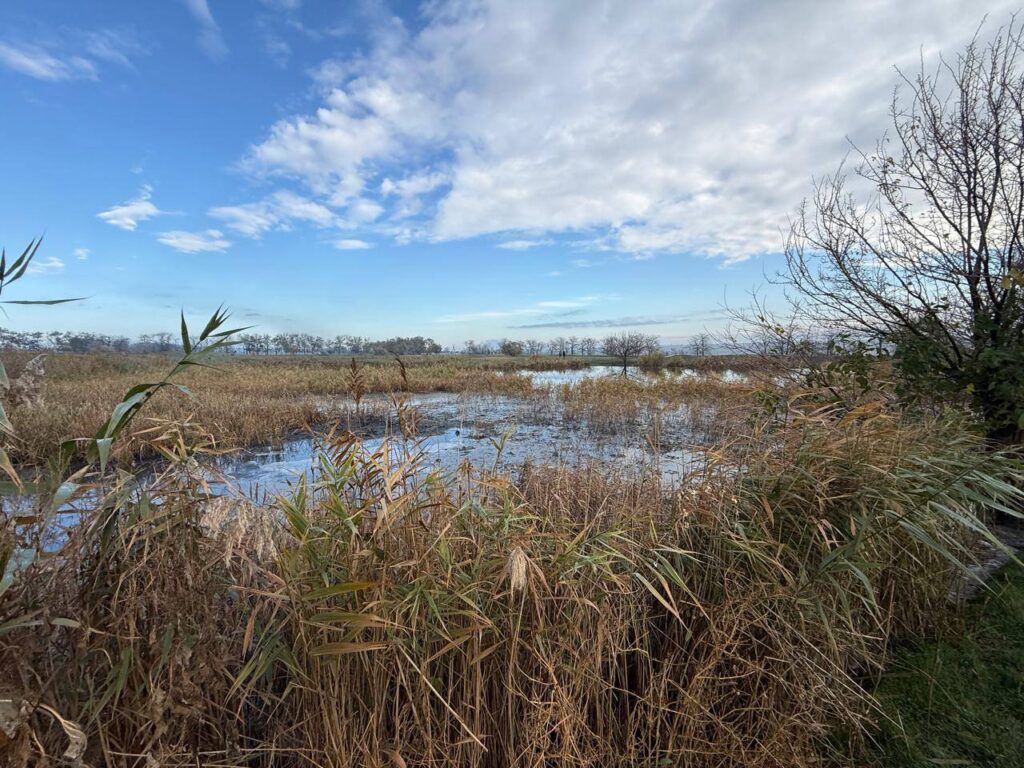 У Болграді повністю відсутні очисні споруди, куди мали б відводитися каналізаційні води, - екологи