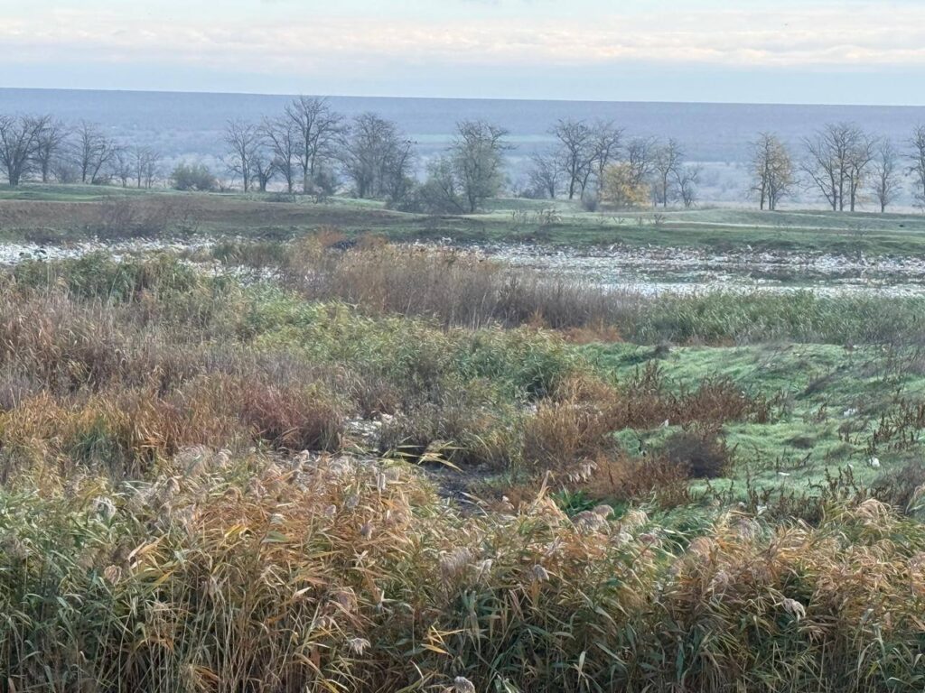 У Болграді повністю відсутні очисні споруди, куди мали б відводитися каналізаційні води, - екологи