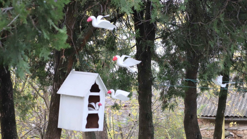 У Болградському районі втілили у життя мрію дітей