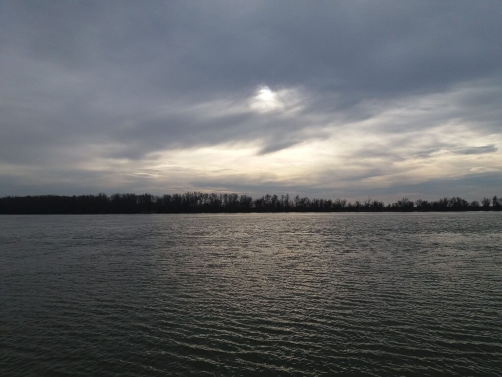 Екологи розповіли, чи є реальна загроза різкого підняття рівня води у Дунаї