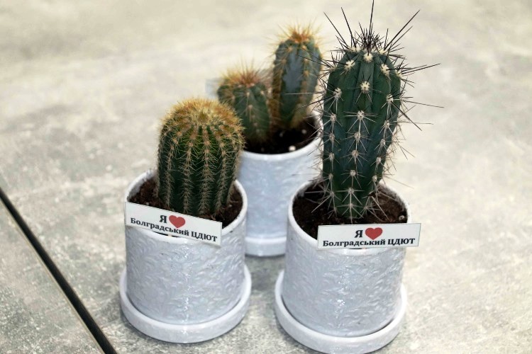 Болградський центр дитячої творчості реалізував уже другий проєкт Громадського бюджету