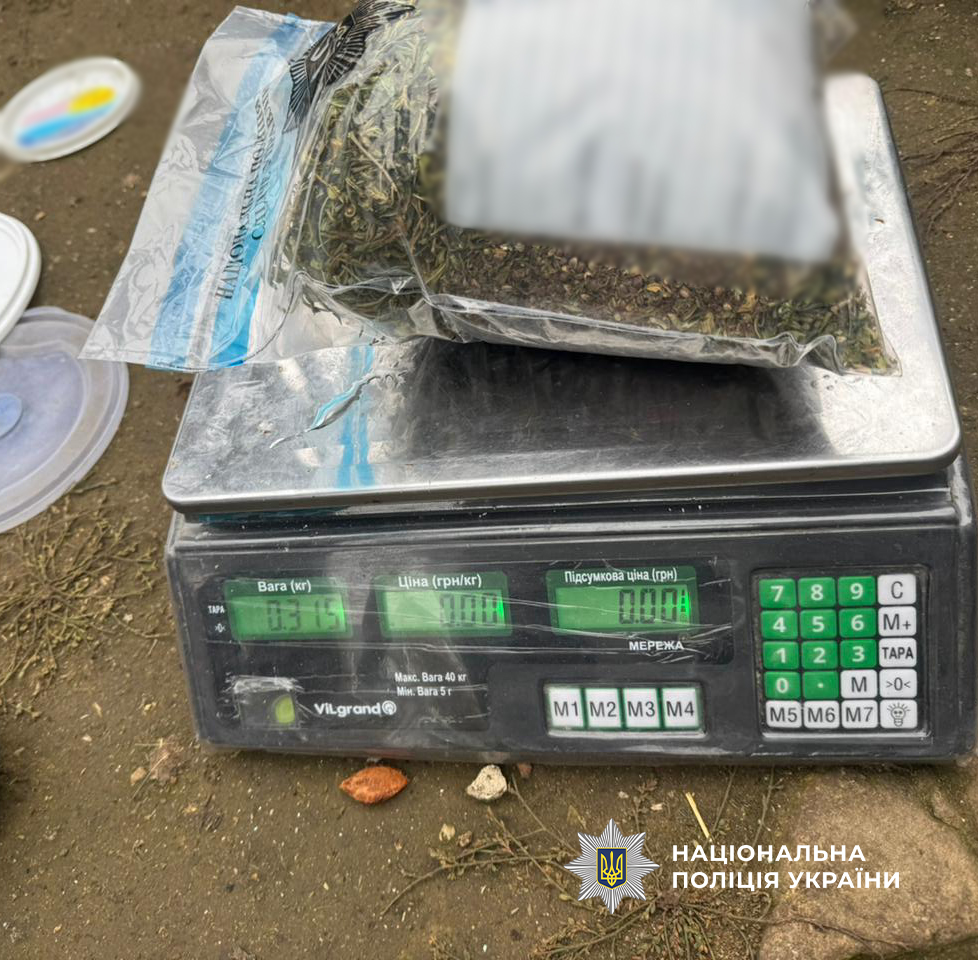 На Одещині викрито двох жінок: одна вирощувала в теплиці коноплі, інша збувала «товар»