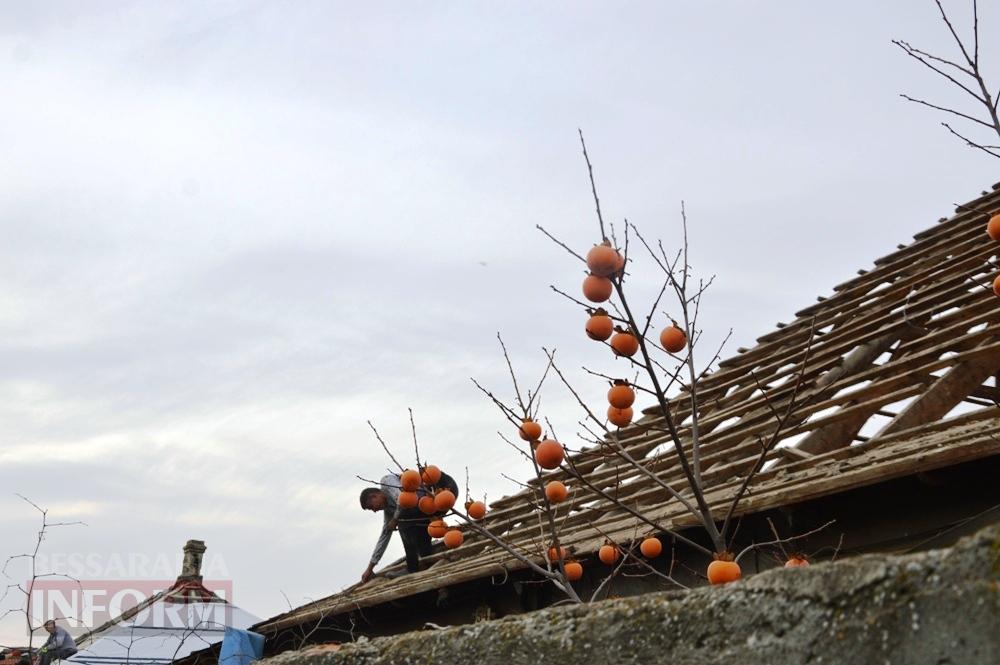 При масштабних руйнуваннях - дивом без постраждалих: Аккерман двічі за добу атакували "шахеди", зокрема зі шрапнеллю