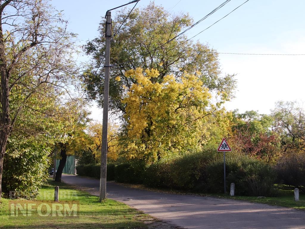 Поцілунок осені в Болграді: фотопрогулянка по оазисах міста