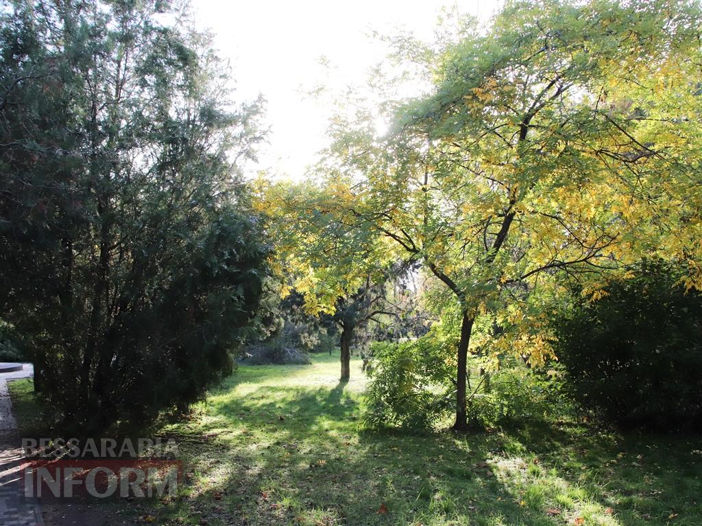 Поцілунок осені в Болграді: фотопрогулянка по оазисах міста