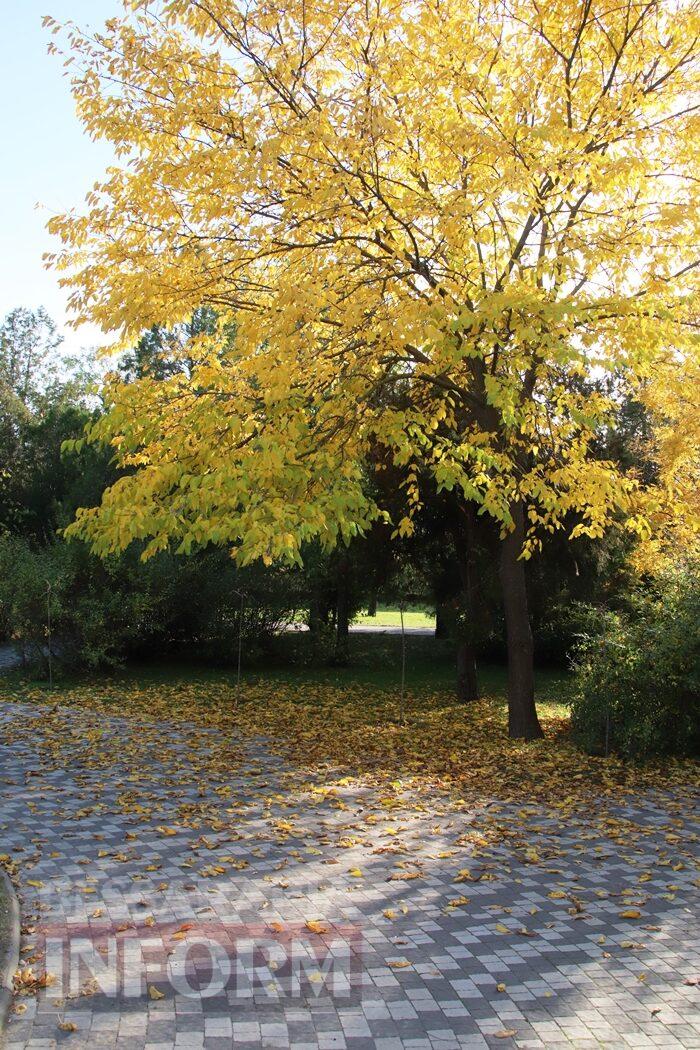Поцілунок осені в Болграді: фотопрогулянка по оазисах міста