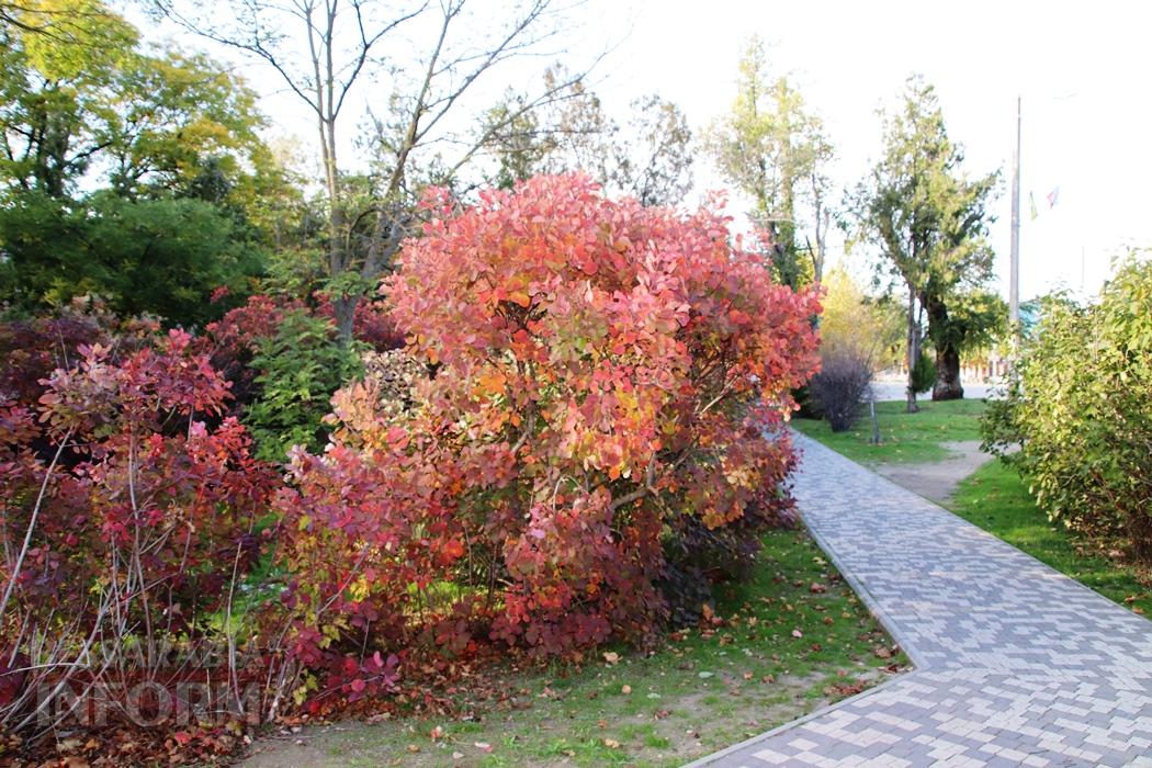 Поцілунок осені в Болграді: фотопрогулянка по оазисах міста