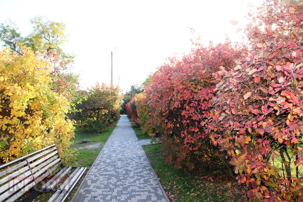 Поцілунок осені в Болграді: фотопрогулянка по оазисах міста