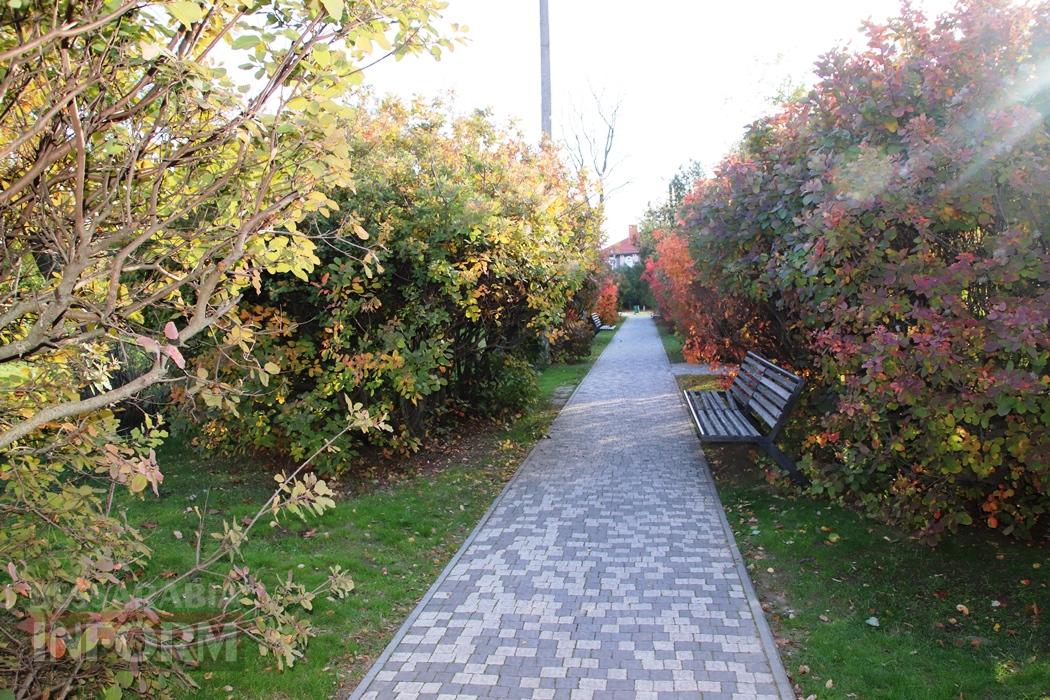 Поцілунок осені в Болграді: фотопрогулянка по оазисах міста