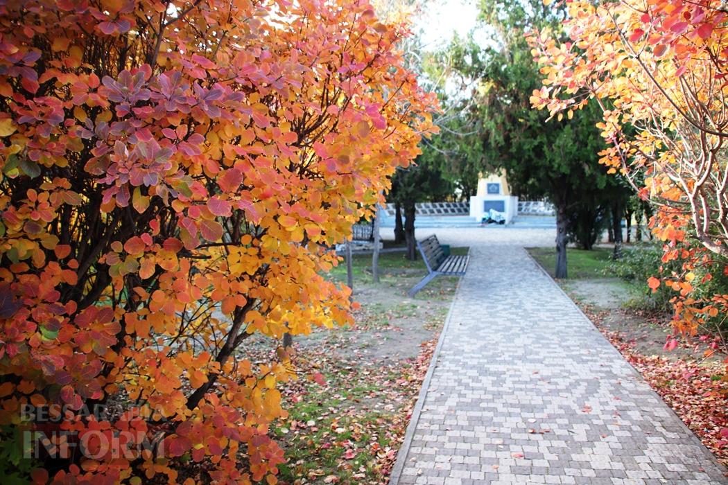 Поцілунок осені в Болграді: фотопрогулянка по оазисах міста