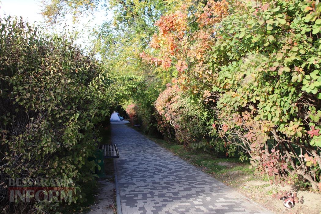 Поцілунок осені в Болграді: фотопрогулянка по оазисах міста