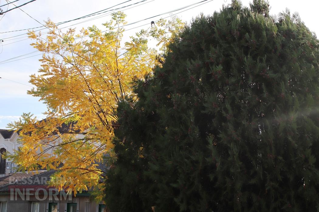 Поцілунок осені в Болграді: фотопрогулянка по оазисах міста