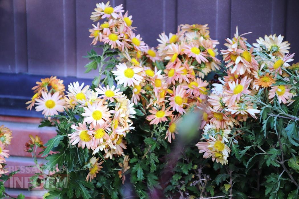 Поцілунок осені в Болграді: фотопрогулянка по оазисах міста