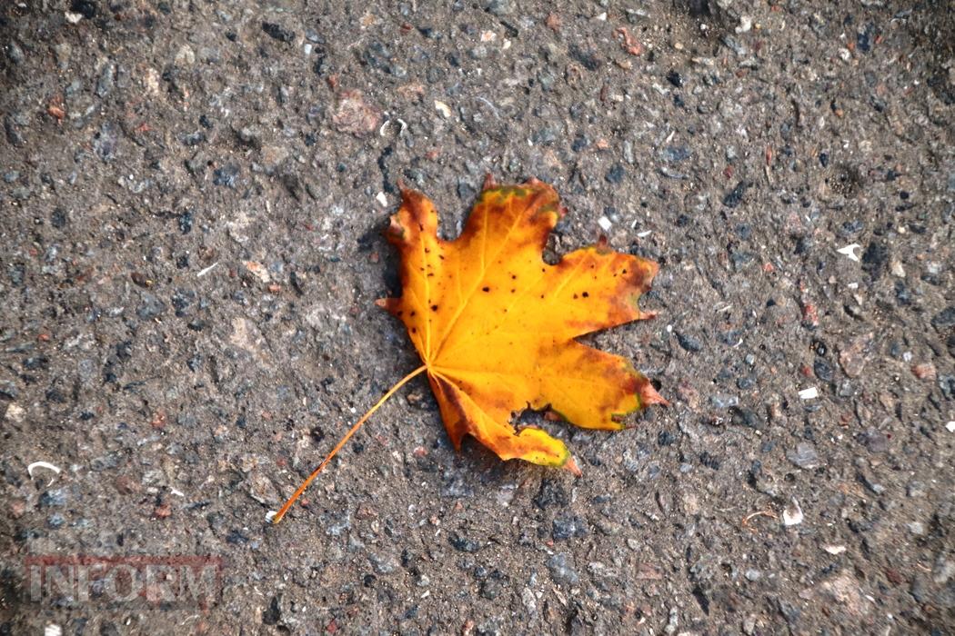 Поцілунок осені в Болграді: фотопрогулянка по оазисах міста