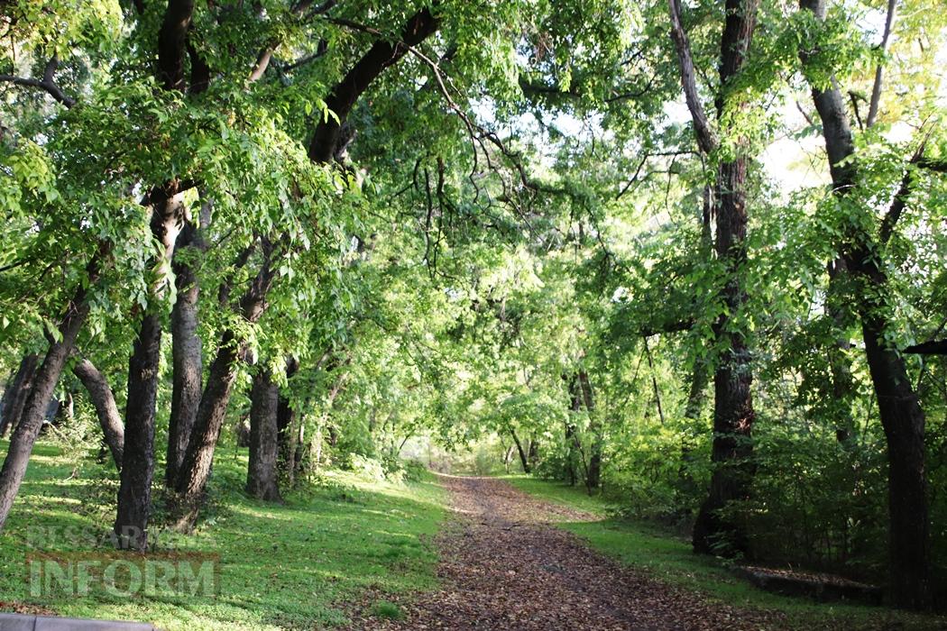 Поцілунок осені в Болграді: фотопрогулянка по оазисах міста