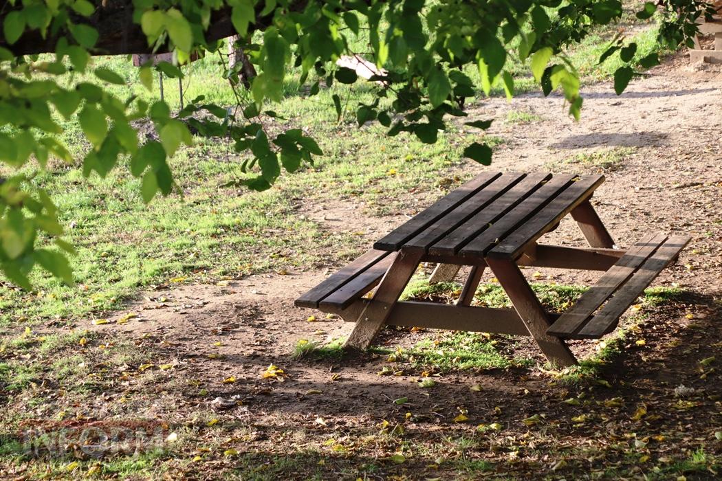 Поцілунок осені в Болграді: фотопрогулянка по оазисах міста
