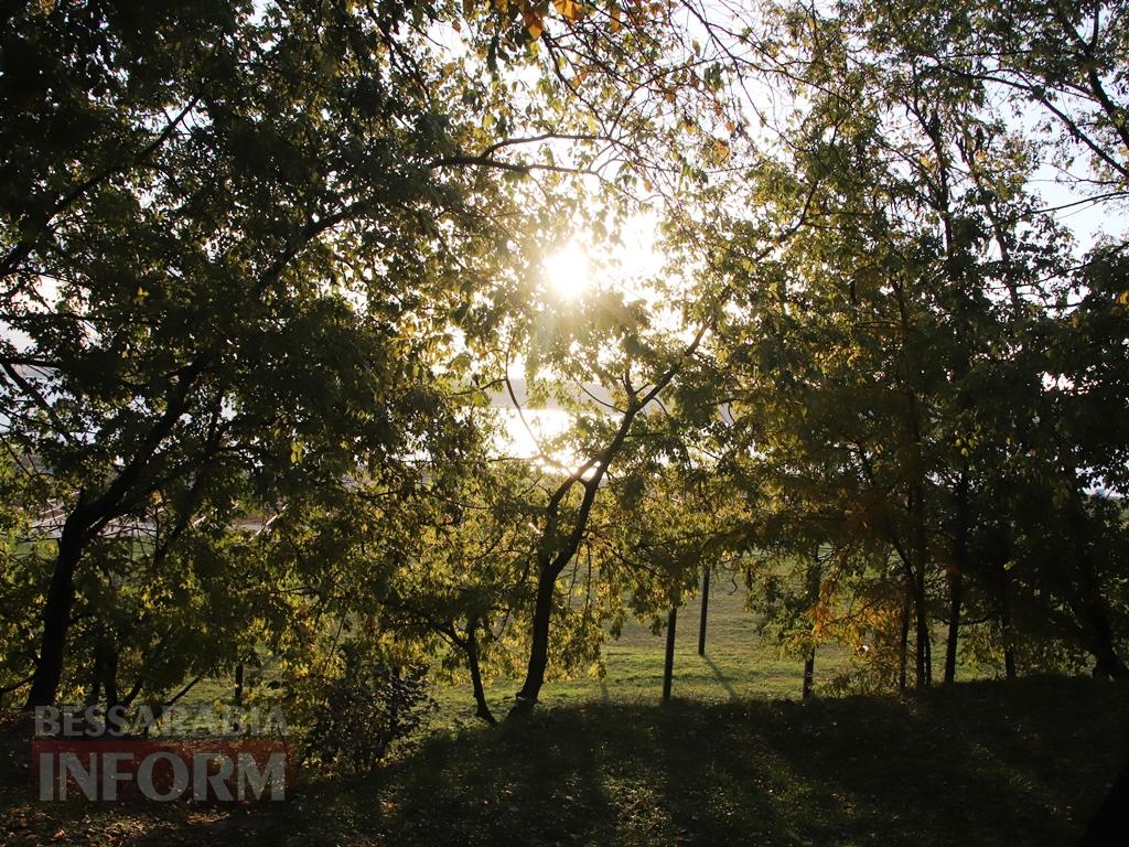 Поцілунок осені в Болграді: фотопрогулянка по оазисах міста