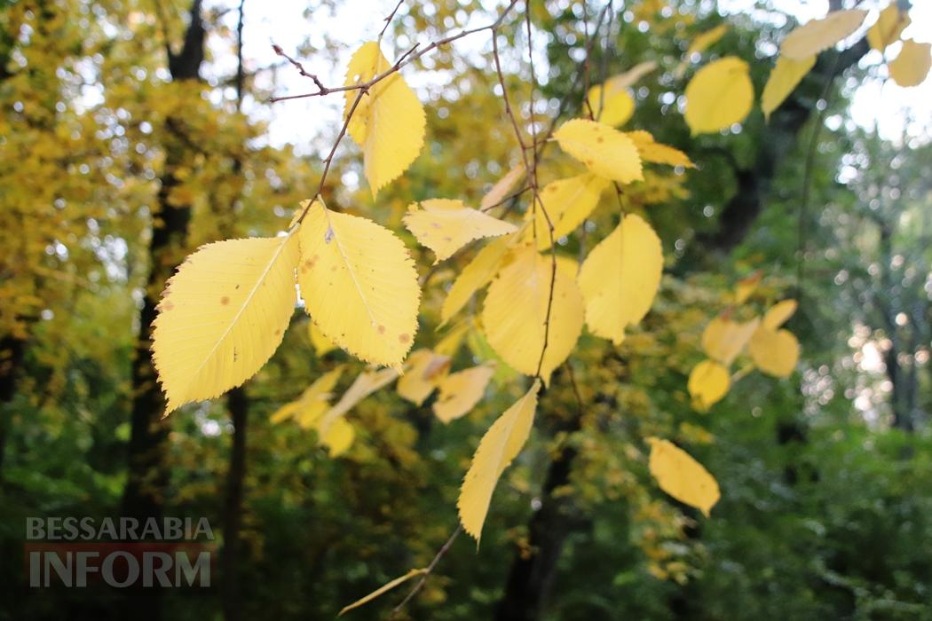 Поцілунок осені в Болграді: фотопрогулянка по оазисах міста