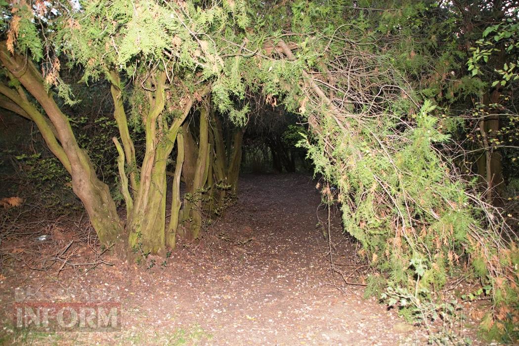 Поцілунок осені в Болграді: фотопрогулянка по оазисах міста