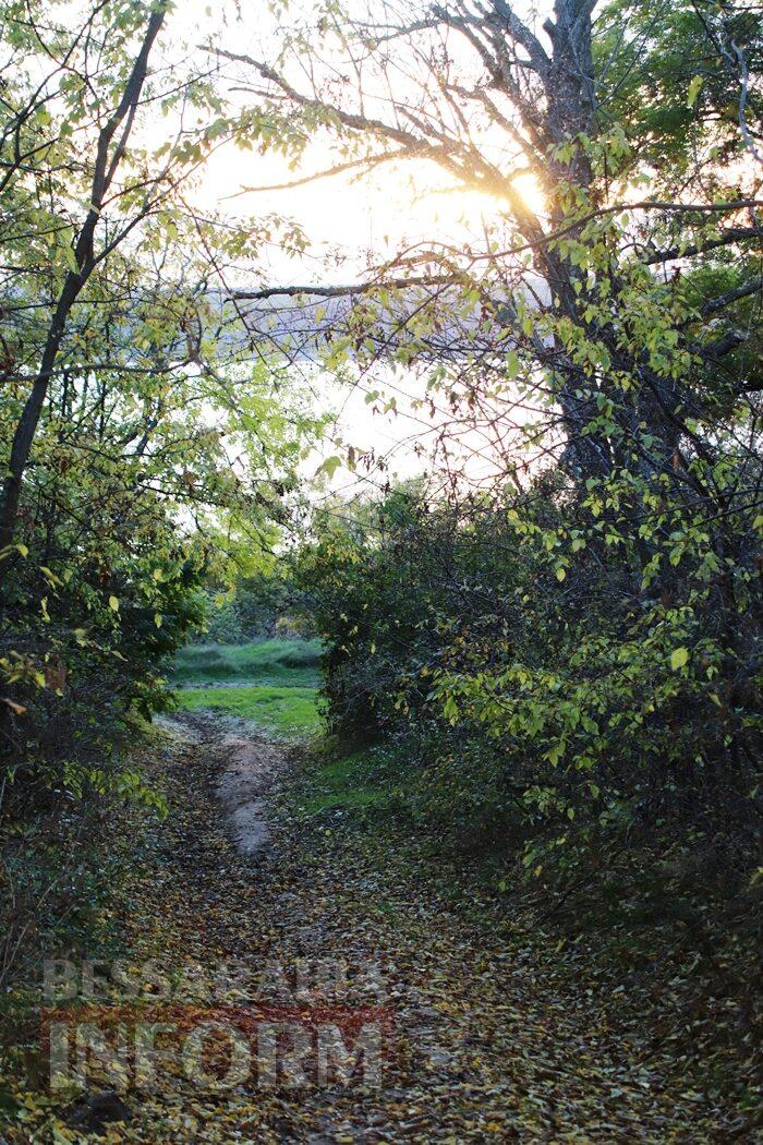 Поцілунок осені в Болграді: фотопрогулянка по оазисах міста