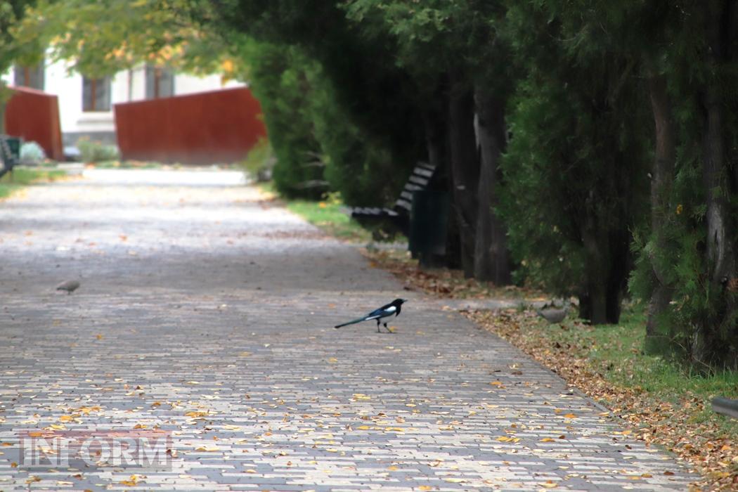 Поцілунок осені в Болграді: фотопрогулянка по оазисах міста