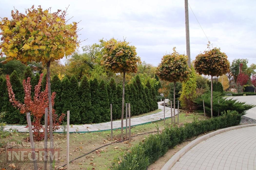 Поцілунок осені в Болграді: фотопрогулянка по оазисах міста