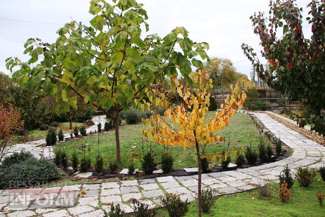 Поцілунок осені в Болграді: фотопрогулянка по оазисах міста