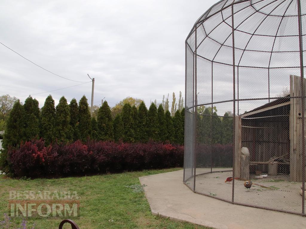 Поцілунок осені в Болграді: фотопрогулянка по оазисах міста