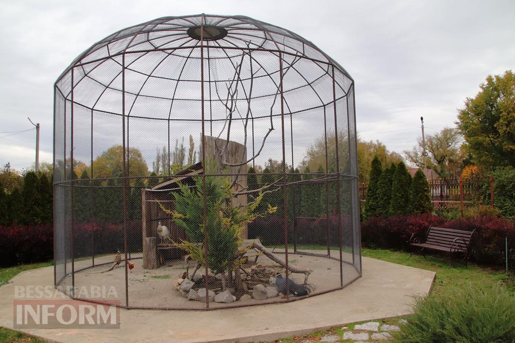 Поцілунок осені в Болграді: фотопрогулянка по оазисах міста