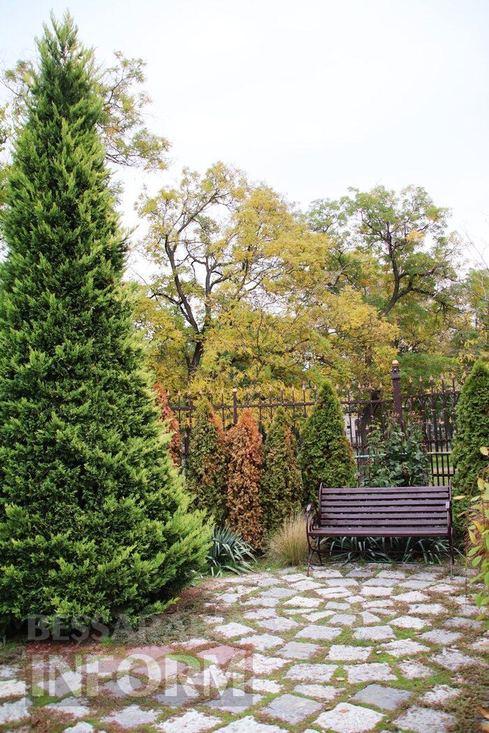 Поцілунок осені в Болграді: фотопрогулянка по оазисах міста