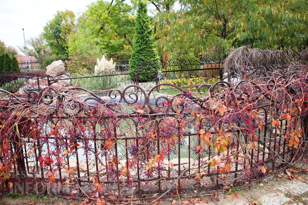 Поцілунок осені в Болграді: фотопрогулянка по оазисах міста