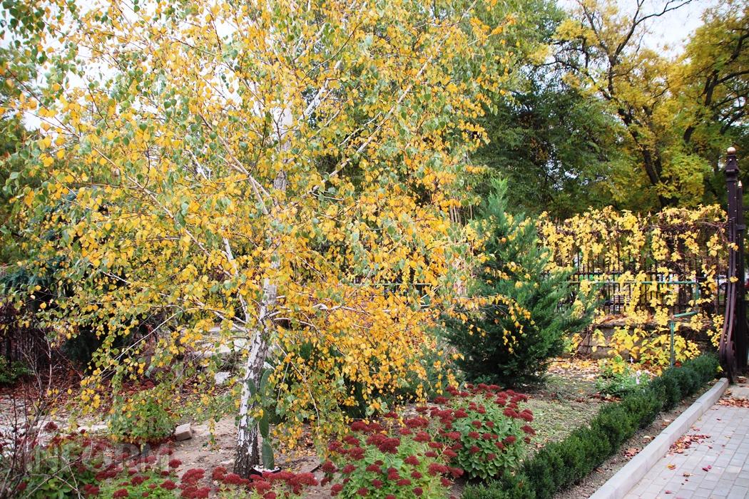 Поцілунок осені в Болграді: фотопрогулянка по оазисах міста