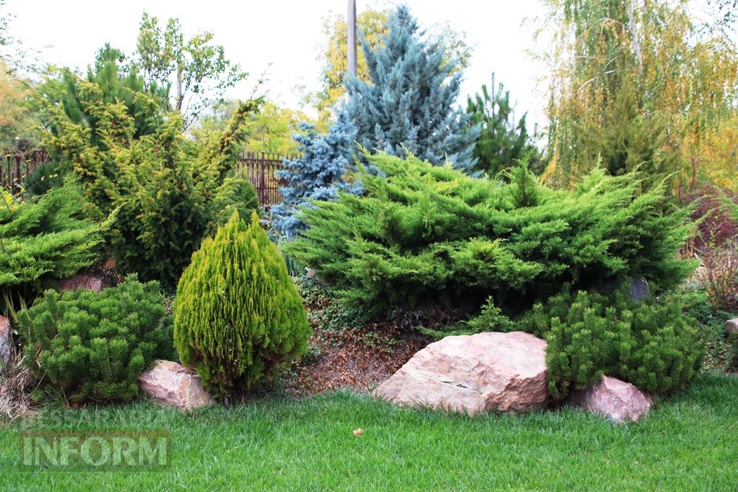 Поцілунок осені в Болграді: фотопрогулянка по оазисах міста