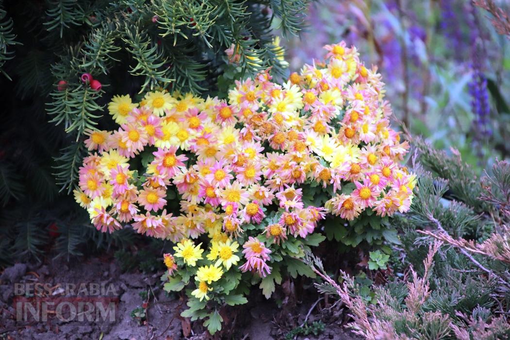 Поцілунок осені в Болграді: фотопрогулянка по оазисах міста