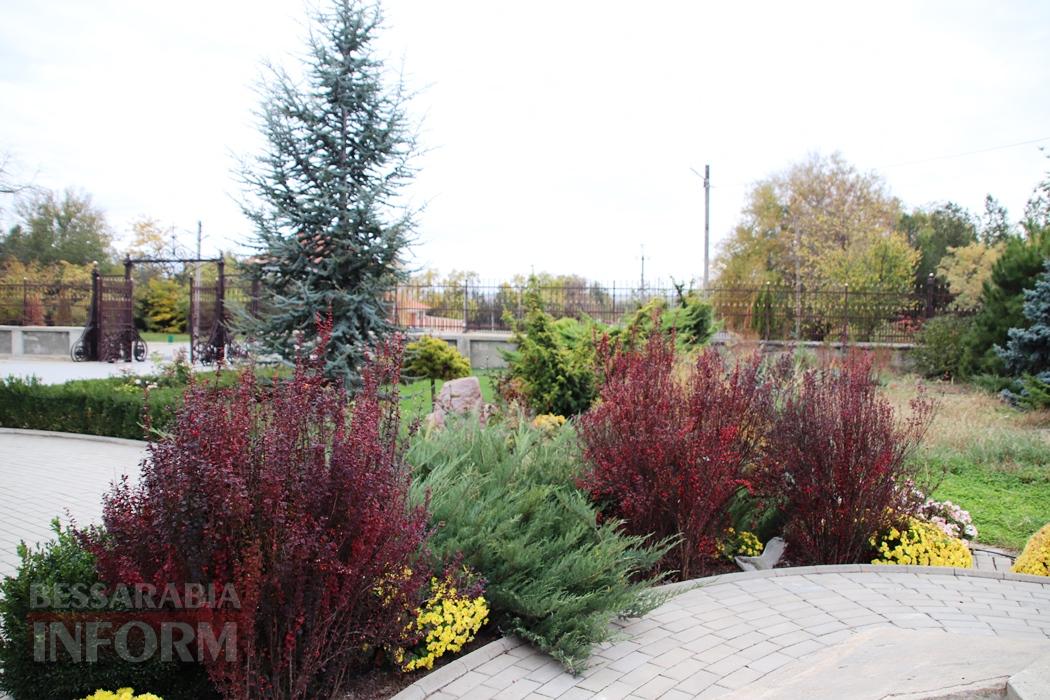 Поцілунок осені в Болграді: фотопрогулянка по оазисах міста