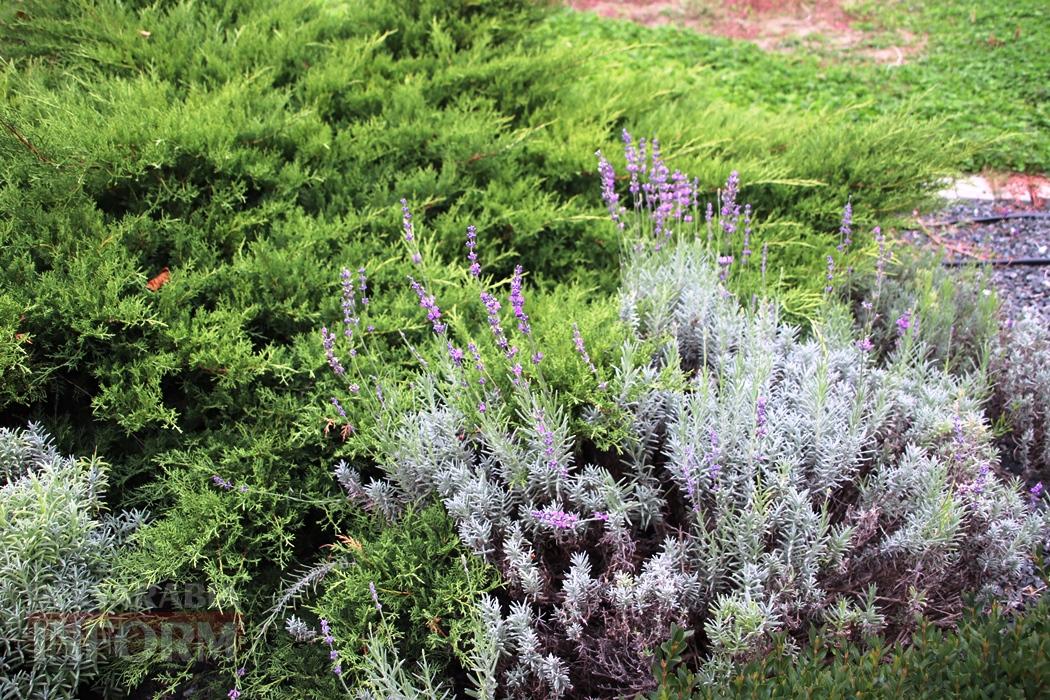 Поцілунок осені в Болграді: фотопрогулянка по оазисах міста