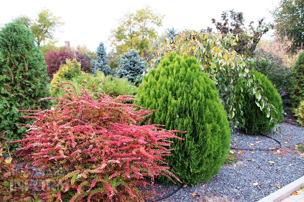 Поцілунок осені в Болграді: фотопрогулянка по оазисах міста