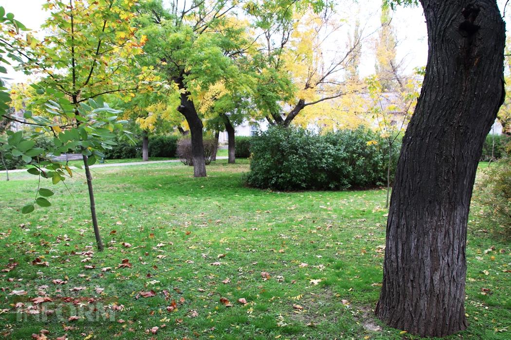 Поцілунок осені в Болграді: фотопрогулянка по оазисах міста