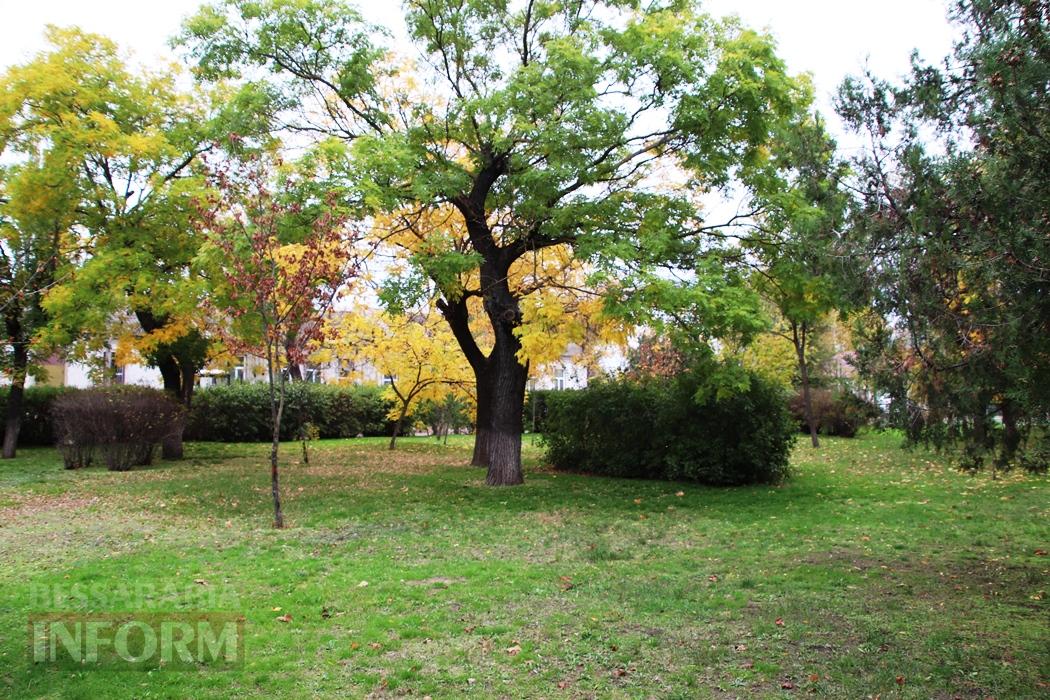 Поцілунок осені в Болграді: фотопрогулянка по оазисах міста