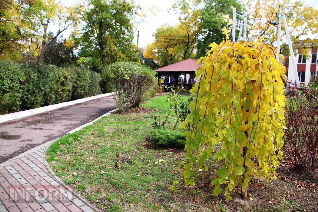 Поцілунок осені в Болграді: фотопрогулянка по оазисах міста