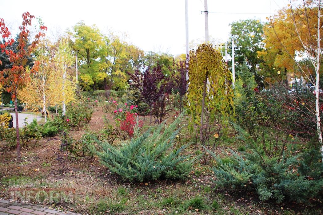 Поцілунок осені в Болграді: фотопрогулянка по оазисах міста