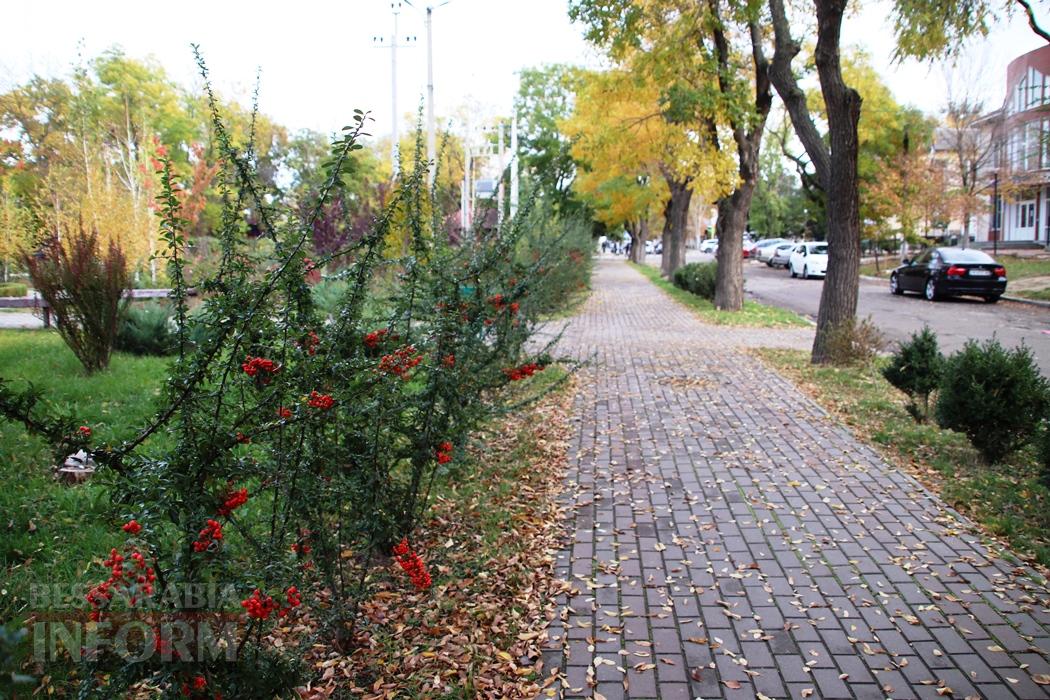 Поцілунок осені в Болграді: фотопрогулянка по оазисах міста